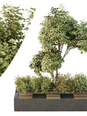HQ Tree and bush garden box outdoor VOL 34
