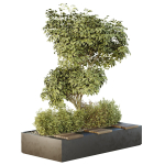 HQ Tree and bush garden box outdoor VOL 34