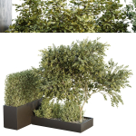 HQ Tree and bush garden box outdoor VOL 35