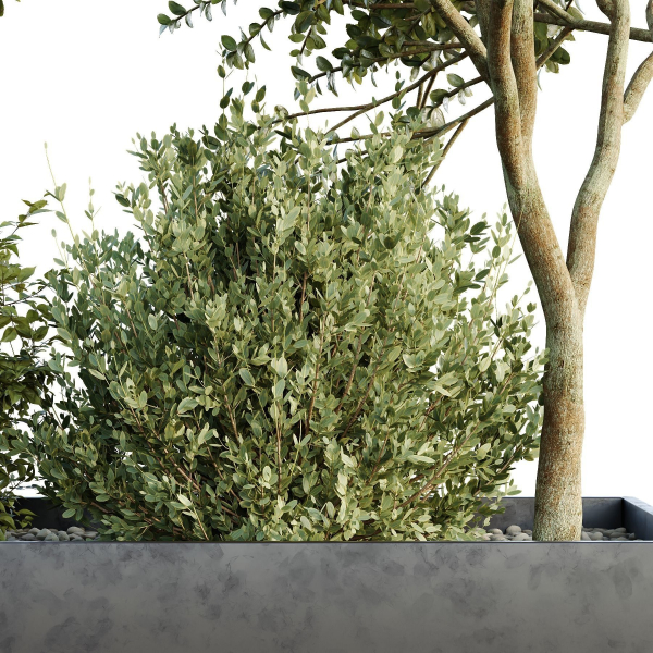 HQ Tree and bush garden box outdoor VOL 35
