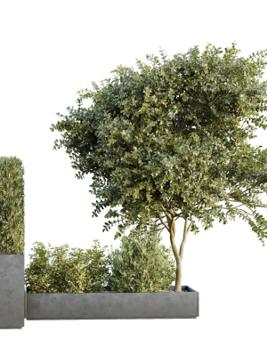 hq-tree-and-bush-garden-box-outdoor-vol-35-3d-model-fc6e0a037e