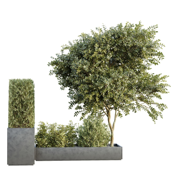HQ Tree and bush garden box outdoor VOL 35
