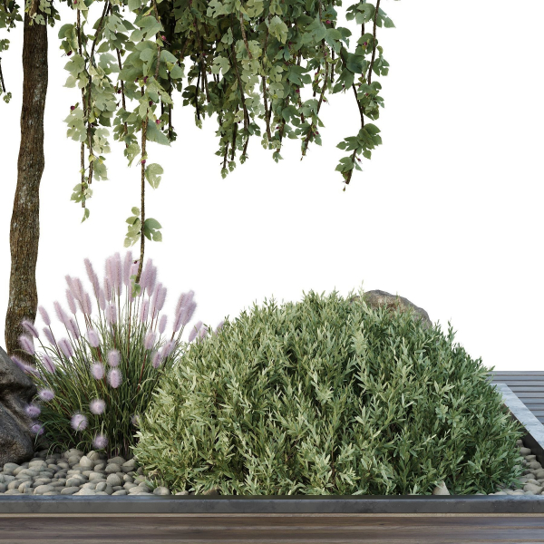 HQ Tree and bush garden box outdoor VOL 36