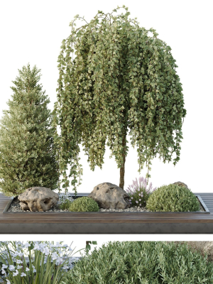 HQ Tree and bush garden box outdoor VOL 36