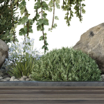 HQ Tree and bush garden box outdoor VOL 36
