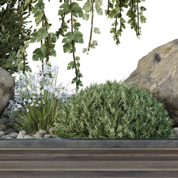 HQ Tree and bush garden box outdoor VOL 36
