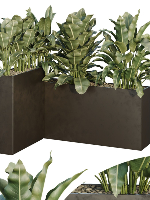 HQ Tree and bush garden box outdoor VOL 38