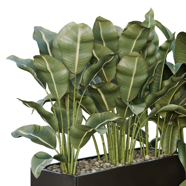 HQ Tree and bush garden box outdoor VOL 38