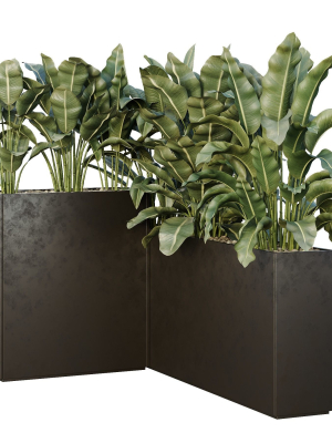 hq-tree-and-bush-garden-box-outdoor-vol-38-3d-model-ef0a5118b8