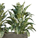 HQ Tree and bush garden box outdoor VOL 38