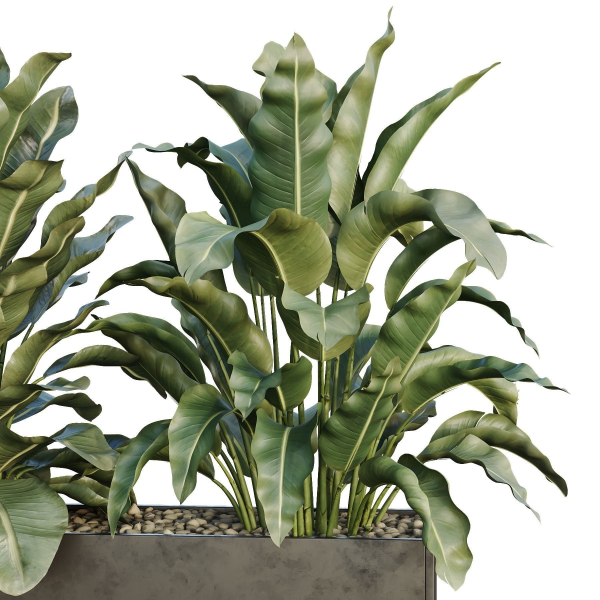 HQ Tree and bush garden box outdoor VOL 38