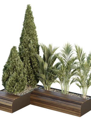 HQ Tree and bush garden box outdoor VOL 39