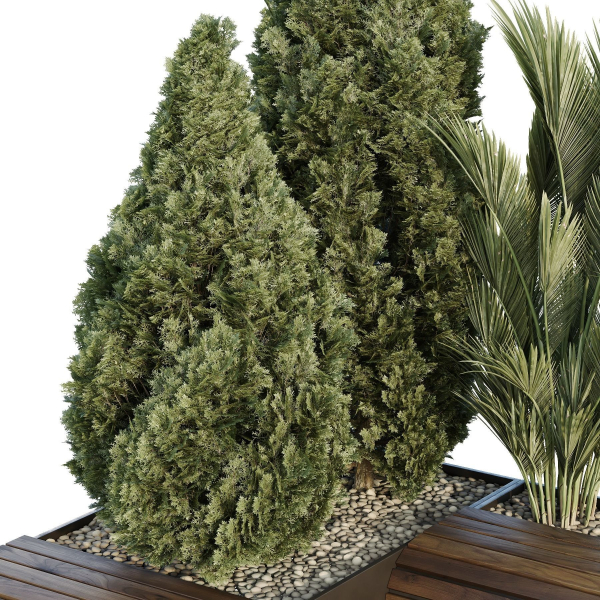 HQ Tree and bush garden box outdoor VOL 39