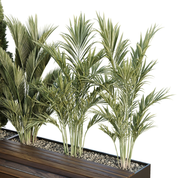 HQ Tree and bush garden box outdoor VOL 39
