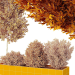 HQ Tree and bush garden box outdoor VOL 42