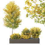 HQ Tree and bush garden box outdoor VOL 42
