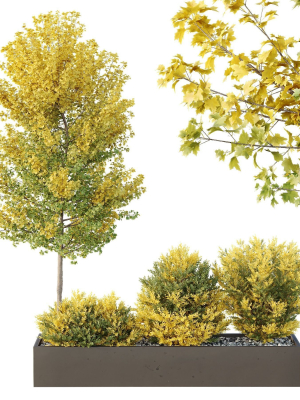 hq-tree-and-bush-garden-box-outdoor-vol-42-3d-model-ad0edfb91f