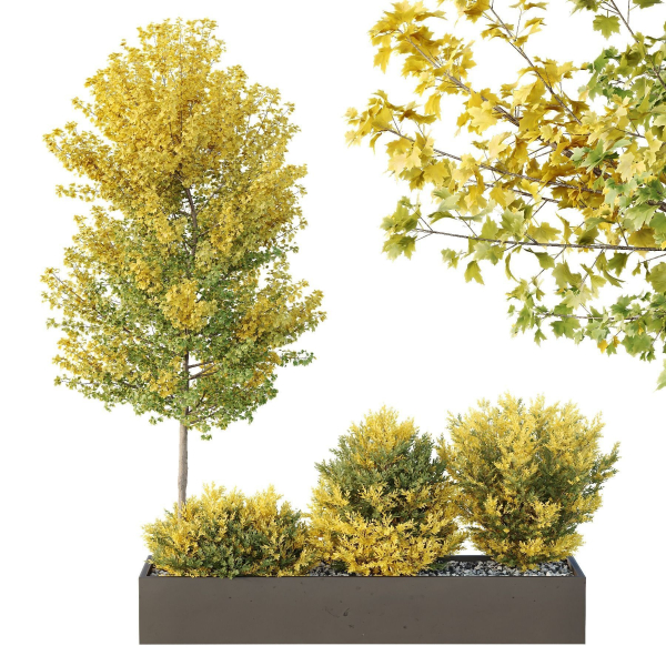 HQ Tree and bush garden box outdoor VOL 42