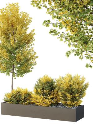 HQ Tree and bush garden box outdoor VOL 42