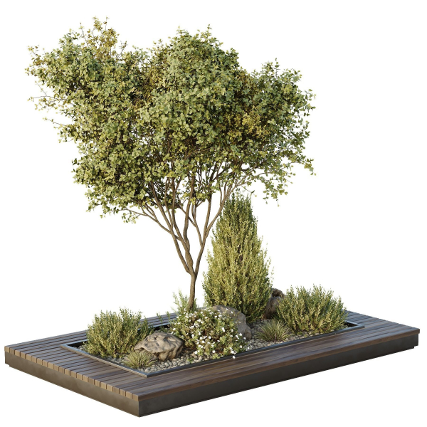 HQ Tree and bush garden box outdoor VOL 43