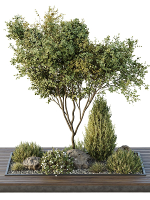 HQ Tree and bush garden box outdoor VOL 43