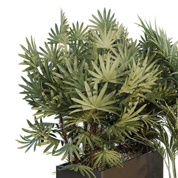 HQ Tree and bush garden box outdoor VOL 44