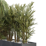 HQ Tree and bush garden box outdoor VOL 45