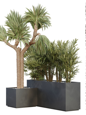 HQ Tree and bush garden box outdoor VOL 45