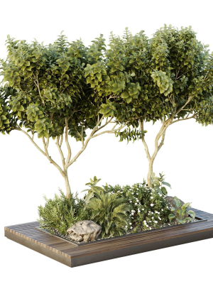 HQ Tree and bush garden box outdoor VOL 46