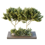 HQ Tree and bush garden box outdoor VOL 46