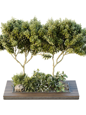 hq-tree-and-bush-garden-box-outdoor-vol-46-3d-model-ee707f5294