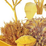 HQ Tree and bush garden box outdoor VOL 46