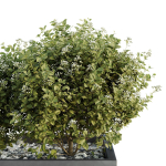 HQ Tree and bush garden box outdoor VOL 47