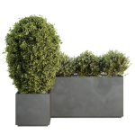 HQ Tree and bush garden box outdoor VOL 47