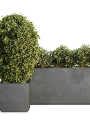 hq-tree-and-bush-garden-box-outdoor-vol-47-3d-model-546acb739f