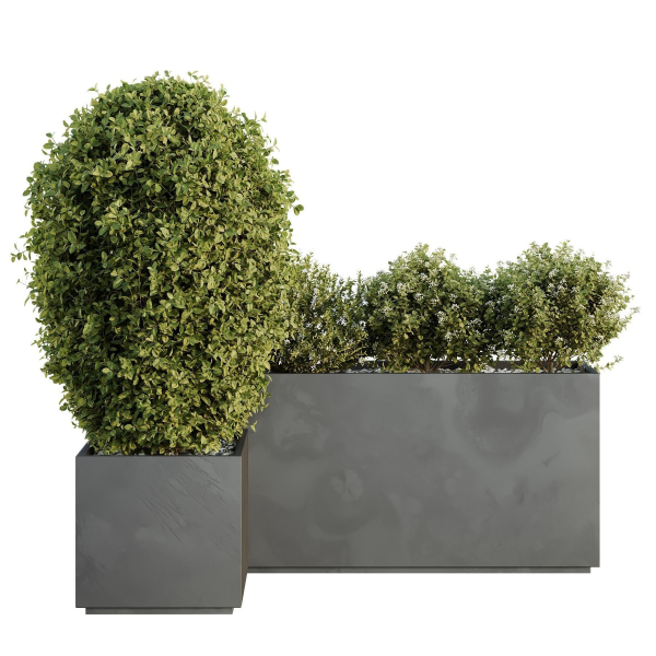 HQ Tree and bush garden box outdoor VOL 47
