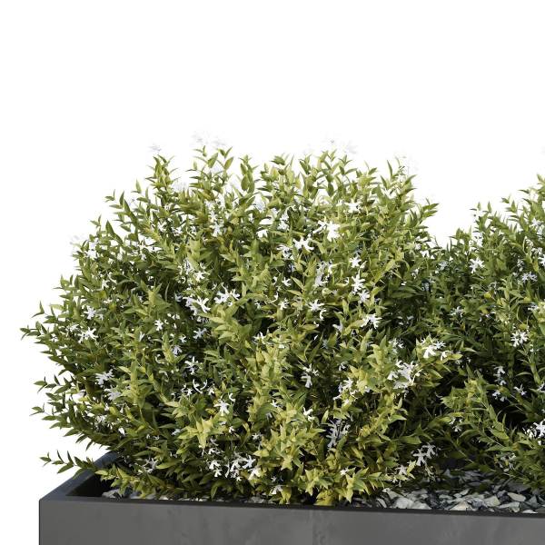 HQ Tree and bush garden box outdoor VOL 47