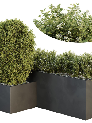HQ Tree and bush garden box outdoor VOL 47