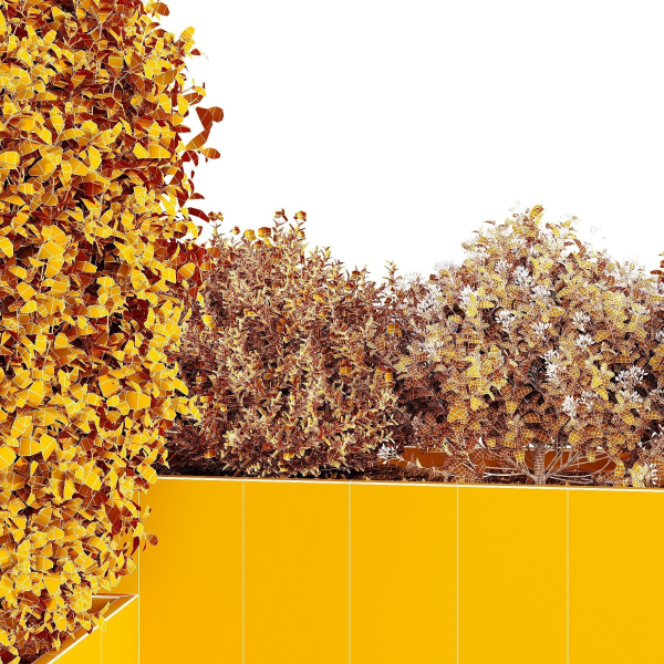 HQ Tree and bush garden box outdoor VOL 47