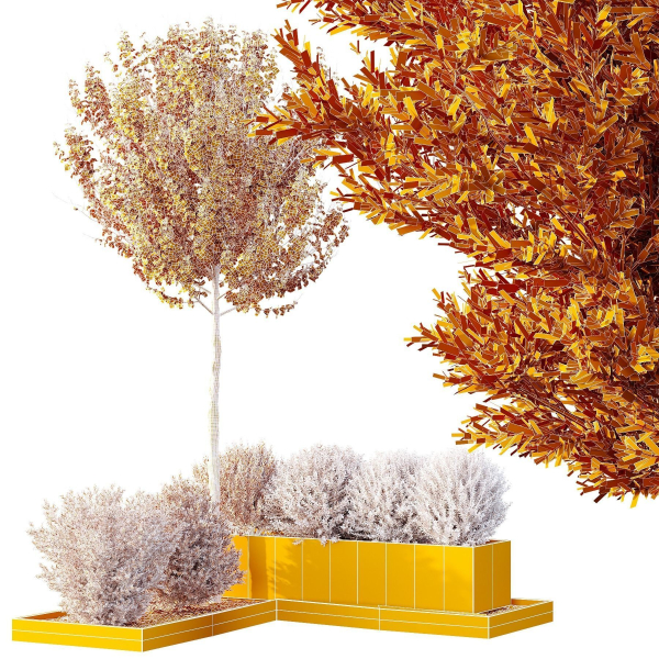 HQ Tree and bush garden box outdoor VOL 48