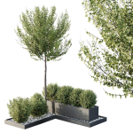 HQ Tree and bush garden box outdoor VOL 48