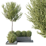 HQ Tree and bush garden box outdoor VOL 48