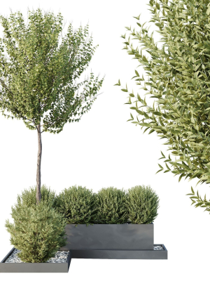 hq-tree-and-bush-garden-box-outdoor-vol-48-3d-model-e65a6bc989