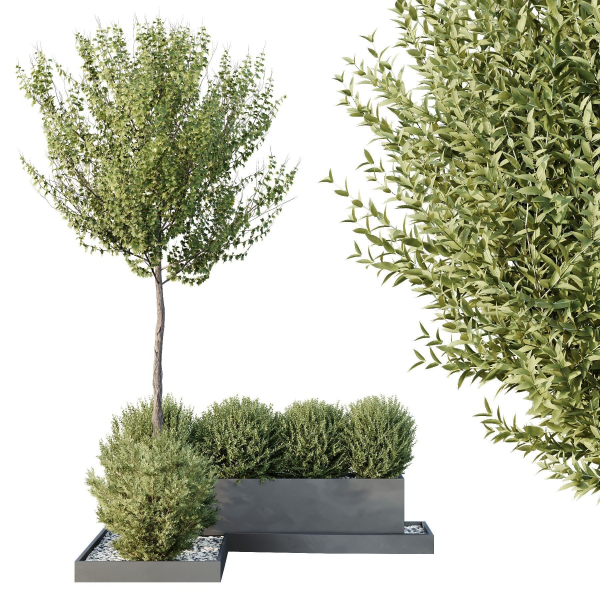 HQ Tree and bush garden box outdoor VOL 48