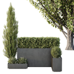 HQ Tree and bush garden box outdoor VOL 49