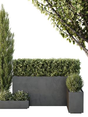 hq-tree-and-bush-garden-box-outdoor-vol-49-3d-model-67ce66ab50