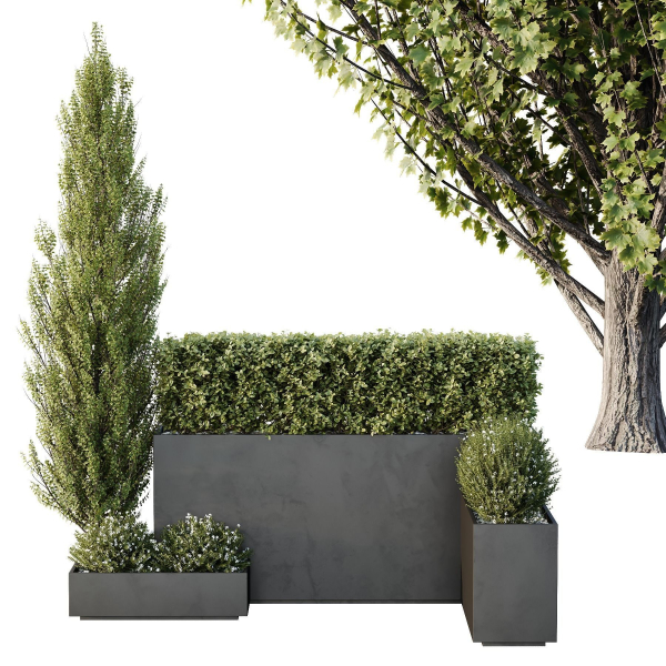 HQ Tree and bush garden box outdoor VOL 49