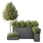 HQ Tree and bush garden box outdoor VOL 50