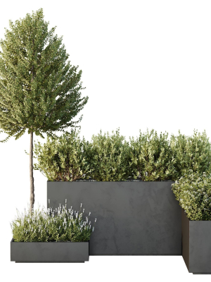 hq-tree-and-bush-garden-box-outdoor-vol-50-3d-model-2d547473be