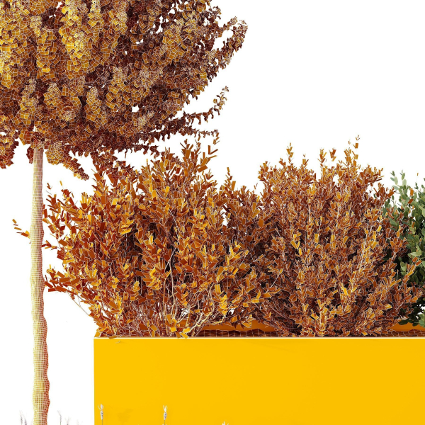 HQ Tree and bush garden box outdoor VOL 50